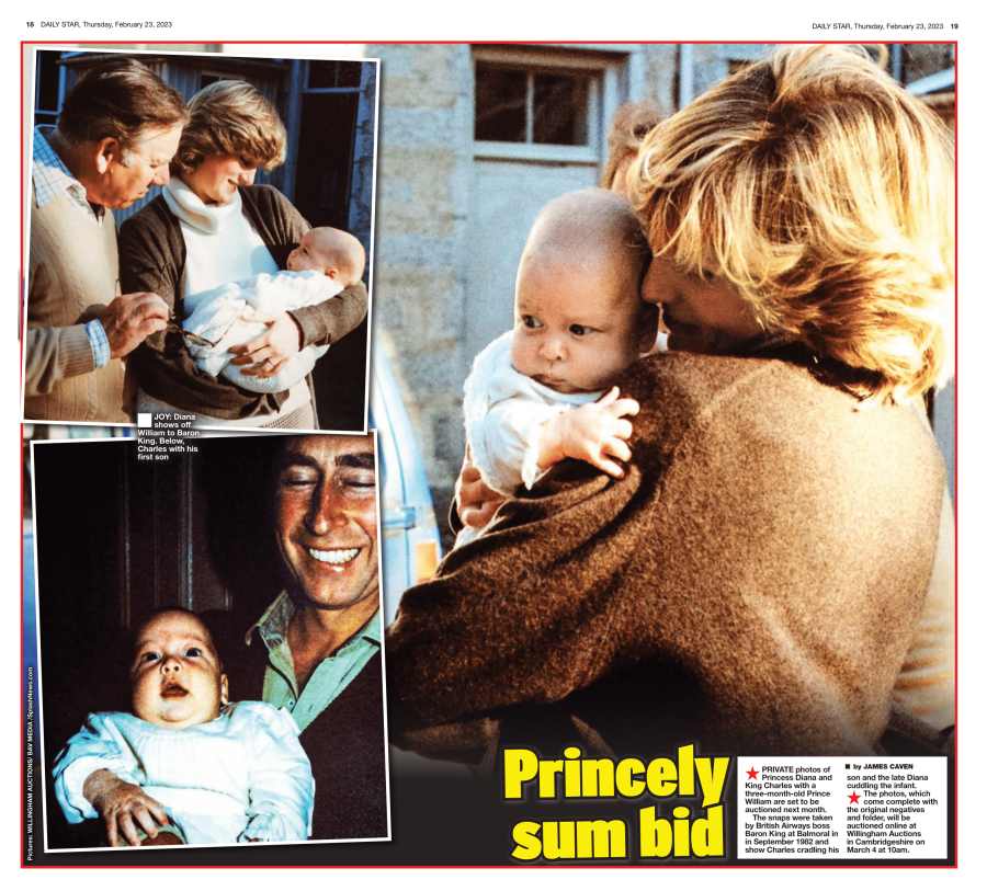 480 3 Princess Diana photos Daily Star