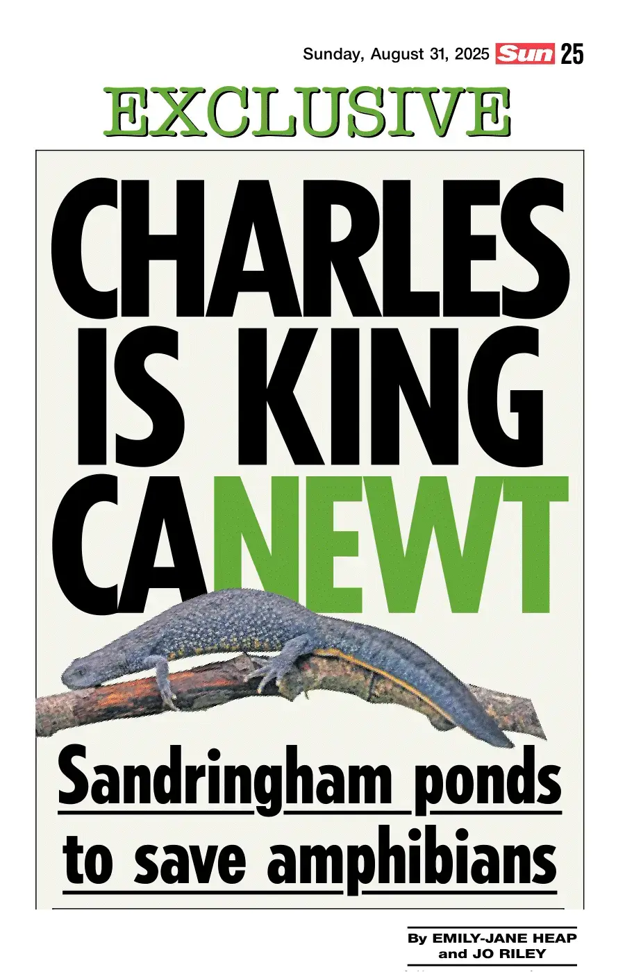 Charles Is King Canewt