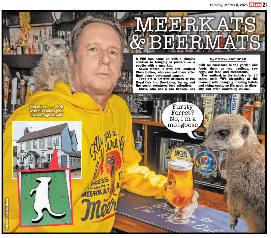 Meerkats And Beermats