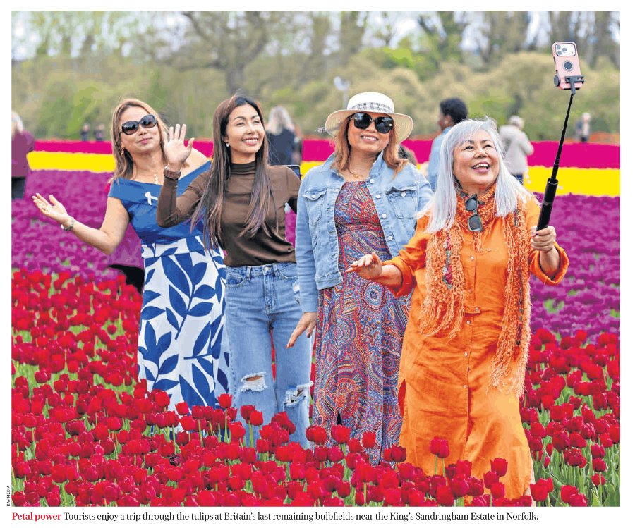 Tourists Tiptoe Through The Tulips