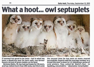 Barn Owls Mail Cutting