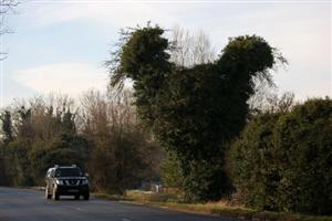 Giant Rooster