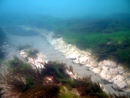 Longest Chalk Reef